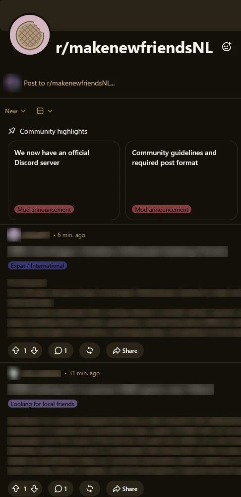 Screenshot van r/makenewfriendsNL (namen en posts vervaagd)